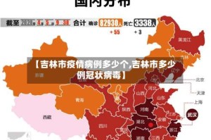 【吉林市疫情病例多少个,吉林市多少例冠状病毒】