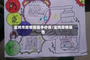 宝鸡市疫情图画手抄报/宝鸡疫情报告