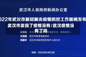 武汉市发现了疫情没有/武汉疫情没有了吗