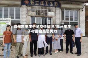 霸州市王庄子乡疫情情况/霸州王庄子村委会黑恶势力