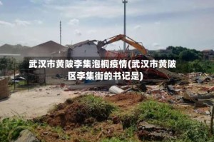 武汉市黄陂李集泡桐疫情(武汉市黄陂区李集街的书记是)