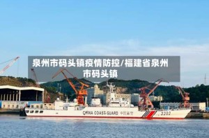 泉州市码头镇疫情防控/福建省泉州市码头镇