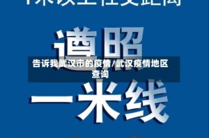 告诉我武汉市的疫情/武汉疫情地区查询