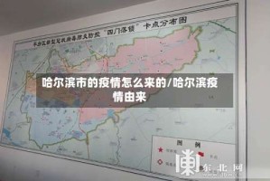 哈尔滨市的疫情怎么来的/哈尔滨疫情由来