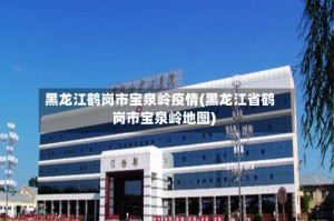 黑龙江鹤岗市宝泉岭疫情(黑龙江省鹤岗市宝泉岭地图)