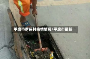 平度市罗头村疫情情况/平度市最新