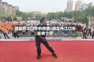 湖北丹江口市的疫情/湖北丹江口市是哪个市