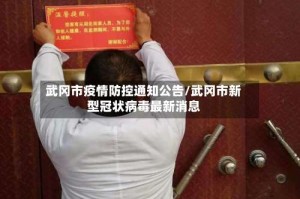 武冈市疫情防控通知公告/武冈市新型冠状病毒最新消息