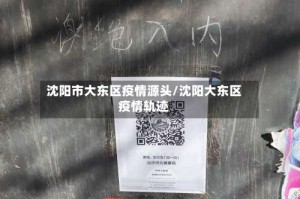 沈阳市大东区疫情源头/沈阳大东区疫情轨迹
