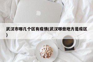 武汉市哪几个区有疫情(武汉哪些地方是疫区)