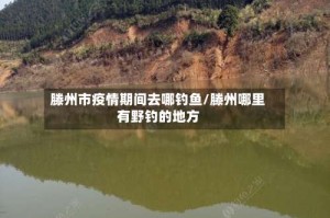 滕州市疫情期间去哪钓鱼/滕州哪里有野钓的地方