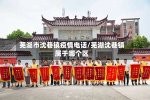 芜湖市沈巷镇疫情电话/芜湖沈巷镇属于哪个区