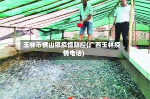 玉林市横山镇疫情防控(广西玉林疫情电话)