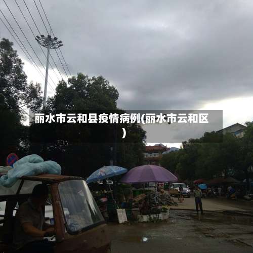 丽水市云和县疫情病例(丽水市云和区)-第2张图片