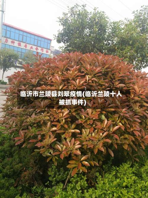临沂市兰陵县刘翠疫情(临沂兰陵十人被抓事件)-第1张图片