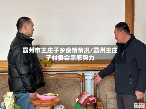 霸州市王庄子乡疫情情况/霸州王庄子村委会黑恶势力-第2张图片