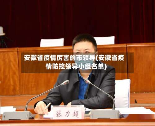 安徽省疫情厉害的市领导(安徽省疫情防控领导小组名单)-第1张图片