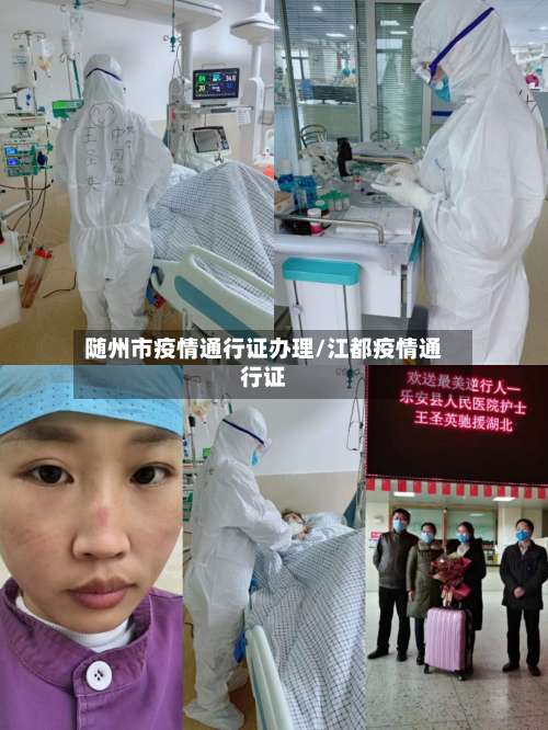 随州市疫情通行证办理/江都疫情通行证-第1张图片