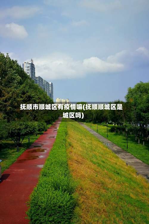 抚顺市顺城区有疫情嘛(抚顺顺城区是城区吗)-第1张图片