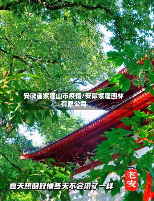 安徽省紫蓬山市疫情/安徽紫蓬园林有限公司-第2张图片