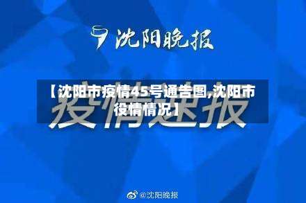 【沈阳市疫情45号通告图,沈阳市役情情况】-第2张图片