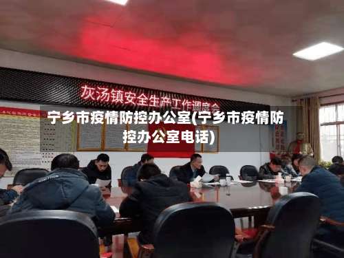宁乡市疫情防控办公室(宁乡市疫情防控办公室电话)-第1张图片