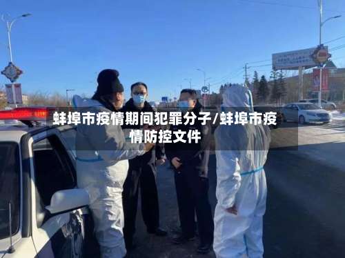 蚌埠市疫情期间犯罪分子/蚌埠市疫情防控文件-第1张图片