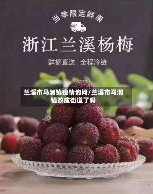 兰溪市马涧镇疫情询问/兰溪市马涧镇改成街道了吗-第2张图片